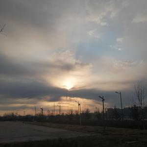 被学长抱进小树林c个爽男男视频
