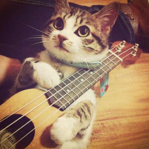 被学长抱进小树林c个爽男男视频
